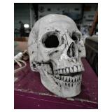Ceramic skull White