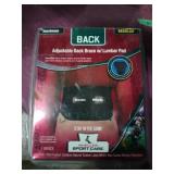 Adjustable back brace with lumbar pad