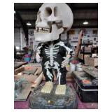 Dancing skeleton unknown if works 18 inches tall
