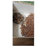 Bullets tips unknown calibers mixed tips for Bullets tips unknown calibers mixed tips for