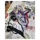 Selection of Ladies  Belts