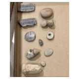 Fossils and other artifacts