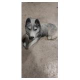 Sandcast husky figurine 8in signed Sandra Bruce