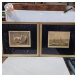 Snipe shooting and crab framed print by j. Clark