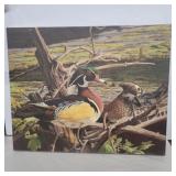 Woods ducks print on canvas no frame 16in x 19in