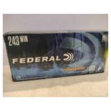 Federal 243 win 100 grain 14 rounds (not full