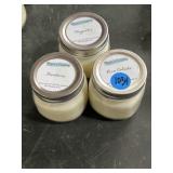 (3) new 8 oz. hand poured soy candles different