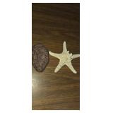 Philippines Star fish and red rock