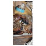 Pheasant feather small pillow