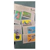 1928 Fro-Joy base ball cards