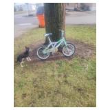 Nice kids bmx bike
