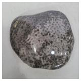 Petoskey stone fossilized coral 6.5in across