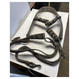 Horse harness, and tack set