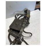 US Calvary horse Blinder bridal