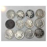 12 Indian/ buffalo nickels  1900 and unmarked
