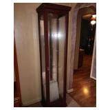 Curio cabinet with light,  mirror, glass shelves