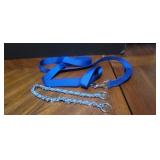 Dog collar and leash