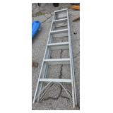 Aluminum (3ft10in standing) ladder