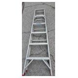 Werner( 3ft 10in standing )aluminum ladder