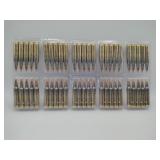 556 ammo 50 rounds