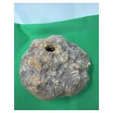 Geod 8ï¿½x4ï¿½