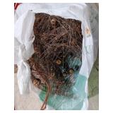 Large bag of Beautiful gold stems to stick in
