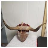 Longhorn on a plaque.