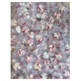 Large 2 gallon ziploc bag stuffed with red bird