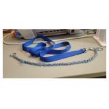 Dog leash and collar