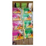 Wild bird suet 8 pcs