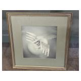 Framed photograph 'Flight' by artist James