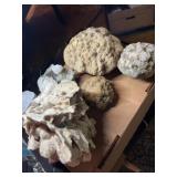 4 geodes, and a piece of coral