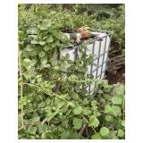 Large plastic liquid tank in metal cage