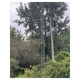 Antenna tower and antenna must be disassembled