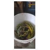 Rope assortment