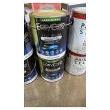 a 1-gallon can of EasyCare Platinum Interior