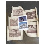 Duck art prints and Early Airlines infographic