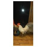 Painted wooden bird and decrirtive husk and straw