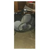 Lakewood fan
