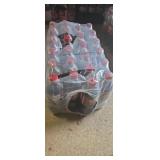 20oz dr. Pepper bottles (24) expired sep 02 2026