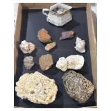 Fossils, polished rocks, and other artifacts