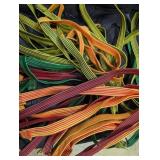 13 New 72" x 1" Flat Elastic Bungee Straps