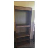 Lighted book shelf