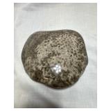 Petoskey stone one side polished approximately