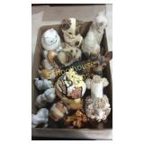 Flat of cats and dogs