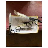 Box of scissors for cutting up