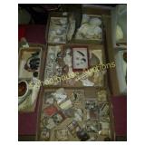 Large group of shells