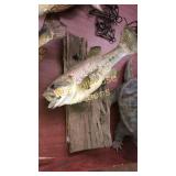 Fish taxidermy mounted on driftwood