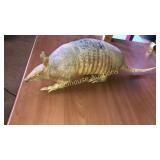 Armadillo taxidermy   He