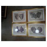 Group of 4 shell pictures